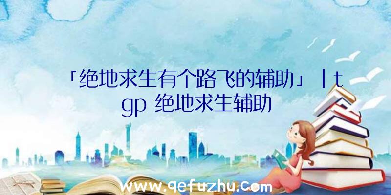 「绝地求生有个路飞的辅助」|tgp